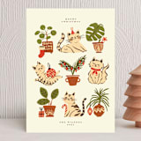 "Christmas with Cats" - Holiday Cards in Champagne by Vivian Yiwing - Front