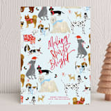 "Making Spirits Bright Dogs" - Holiday Cards in Frost by Shannon Kirsten - Front