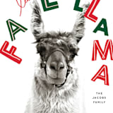 "Fa La Llama" - Holiday Cards in Stockings by Baumbirdy - Close-Up