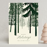 "Tree Tops" - Holiday Cards in Pine by Baumbirdy - Front