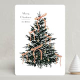 "Bells and Bows" - Holiday Cards in Snow by Baumbirdy - Front