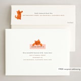 "happy meows" - Holiday Cards in Blush by Jennifer Lew - FREE Recipient Addressing