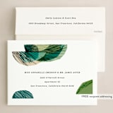 "Hearth" - Holiday Cards in Celadon by Sumak Studio - FREE Recipient Addressing