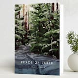 "Peaceful Forest" - Holiday Cards in Pine by Holly Whitcomb - Folded Card