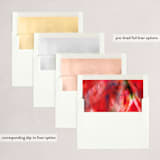 "Painted Ornament" - Holiday Cards in Cherry by 2birdstone - Envelope Liners