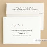 "Christmas Kitties" - Holiday Cards in Pears by Kristen Smith - FREE Recipient Addressing