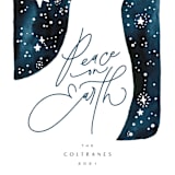 "Dove" - Holiday Cards in Navy by Anastasia Makarova - Close-Up