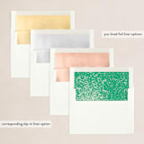 "Snow Globe" - Holiday Cards in Apple Candy by Gwen Bedat - Envelope Liners