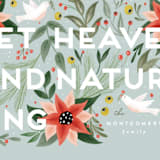 "Heaven & Nature" - Holiday Cards in Mint by Joanna Griffin - Close-Up