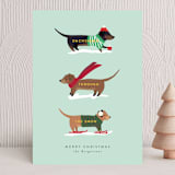 "Dachshund Through the Snows" - Holiday Cards in Mint by Itsy Belle Studio - Front