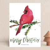 "Christmas Cardinal" - Holiday Cards in Fern by Kelsey McNatt - Front