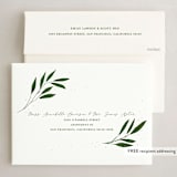 "Floral Noel" - Holiday Cards in Pine Needle by Vera Lim - FREE Recipient Addressing