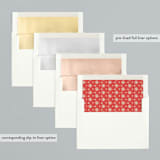 "WRAPPED CANDY CANES" - Holiday Cards in Evergreen by Gina Grittner - Envelope Liners
