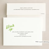 "Seasonal Ribbon" - Holiday Cards in Eclipse by Marabou Design - FREE Recipient Addressing