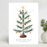 "Silver Tip" - Holiday Cards in Snow by Ani Somi - Front