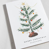 "Silver Tip" - Holiday Cards in Snow by Ani Somi - Detail
