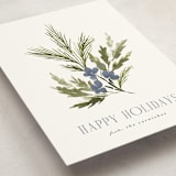 "Simple Sprig" - Holiday Cards in Frost by Kate Ahn - Detail