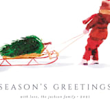 "Snow Drift" - Holiday Cards in Cranberry by Cass Imagines - Close-Up