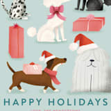 "Bark! The Herald Angel Sing" - Holiday Cards in Mint by Ana Peake - Close-Up