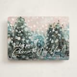 "Wonderful Time" - Holiday Cards in Snow by Lindsay Megahed - Front