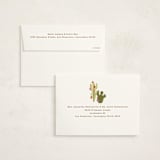 "Howdy Holidays y'all" - Holiday Cards in Candy Cane by Sarah Knight - FREE Recipient Addressing