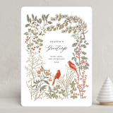"Winter Greens" - Holiday Cards in Spruce by Tara Grangroth - Front