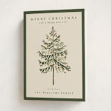 "Vintage Spruce" - Holiday Cards in Pine by Amy Kross - Folded Card
