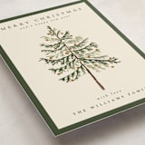"Vintage Spruce" - Holiday Cards in Pine by Amy Kross - Detail