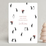 "March of the Penguins" - Holiday Cards in Candy Cane by Lauren Jinhee - Front
