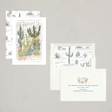 "Deck the Desert" - Holiday Cards in Cactus by Shiny Penny Studio - Assembled