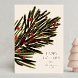 "Under the Fir Tree Branch" - Holiday Cards in Pine by Gwen Bedat - Front