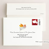 "Nativity Party" - Holiday Cards in Poinsettia by Katie Zimpel - FREE Recipient Addressing