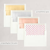 "On the Move" - Holiday Cards in Festive by Bethan - Envelope Liners