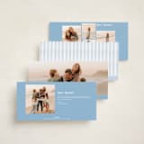 "Family Crest" - Holiday Cards in Blue Jay by Susan Zinader - Back of Card Options