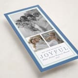 "Favorite Joys" - Holiday Cards in Wintermint by Alston Foster - Detail