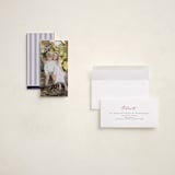 "Holiday Panorama" - Holiday Cards in Snow by Chris Griffith - Assembled