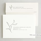 "New Outlook" - Holiday Cards in Moss by Cindy Reynolds - FREE Recipient Addressing