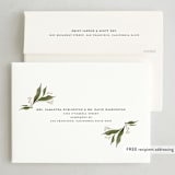 "Gui du Nouvel An" - Holiday Cards in Ivory by Erin Deegan - FREE Recipient Addressing