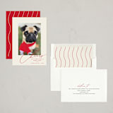 "Happy Pets" - Holiday Cards in Holly Berry by Louise Kay - Assembled