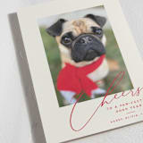 "Happy Pets" - Holiday Cards in Holly Berry by Louise Kay - Detail