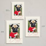 "Happy Pets" - Holiday Cards in Holly Berry by Louise Kay - Formats Available