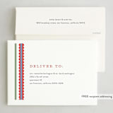 "Swiggle" - Holiday Cards in Kaleidoscope by Pixel and Hank - FREE Recipient Addressing
