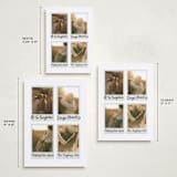 "Photoset" - Holiday Cards in Parchment by Jennifer Lew - Formats Available