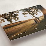 "Simple Moments" - Holiday Cards in Snowflakes by Lucrecia Caporale - Detail