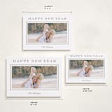 "Resort style" - Holiday Cards in Caramel by Stacey Meacham - Formats Available