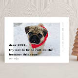 "dear 2021" - Holiday Cards in Noir by Tanya Lee of Frooted Design - Front