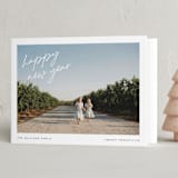 "Keepsake" - Holiday Cards in Delicate by Pixel and Hank - Folded Card