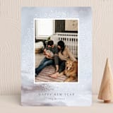 "divine" - Holiday Cards in Fog by Nicoletta Savod - Front