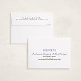 "Boldly Soft" - Holiday Cards in Frosted Sky by Cass Loh - FREE Recipient Addressing
