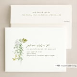 "green wisps" - Holiday Cards in Greenery by Phrosné Barwood - FREE Recipient Addressing